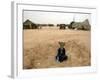 A Suspected Muqtada Al-Sadr Follower at an Us Army Base Outside Najaf-null-Framed Photographic Print