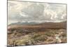 'A Sussex Common', c1889-Thomas Collier-Mounted Giclee Print