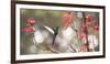 A Swallow-Tailed Hummingbird, Eupetomena Macroura, Feeding from Coral Tree Flowers-Alex Saberi-Framed Photographic Print