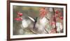 A Swallow-Tailed Hummingbird, Eupetomena Macroura, Feeding from Coral Tree Flowers-Alex Saberi-Framed Photographic Print