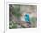 A Swallow Tanager Perching on Tree Branch in Sao Paulo's Ibirapuera Park-Alex Saberi-Framed Photographic Print