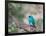 A Swallow Tanager Perching on Tree Branch in Sao Paulo's Ibirapuera Park-Alex Saberi-Framed Photographic Print