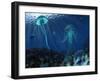 A Swarm of Jellyfish Swim the Panthalassic Ocean-Stocktrek Images-Framed Photographic Print