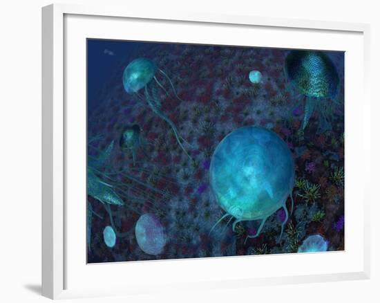 A Swarm of Jellyfish Swim the Panthalassic Ocean-Stocktrek Images-Framed Photographic Print