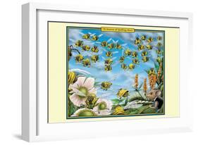 A Swarm of Spelling Bees-Richard Kelly-Framed Art Print