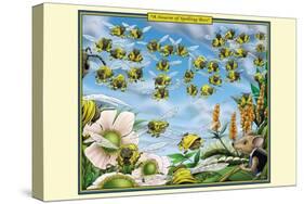 A Swarm of Spelling Bees-Richard Kelly-Stretched Canvas