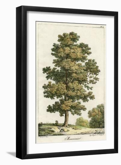 A Sweet Chestnut Tree-null-Framed Art Print