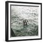 A Swimmer, Skovshoved, Denmark-Leon, Levy et Fils-Framed Photographic Print