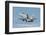 A Swiss Air Force F/A-18C During Tlp in Spain-Stocktrek Images-Framed Photographic Print