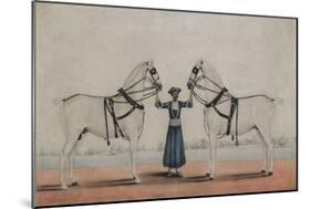 A Syce  Holding Two Carriage Horses, c.1845-Shaik Muhammad Amir of Karraya-Mounted Giclee Print