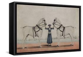 A Syce  Holding Two Carriage Horses, c.1845-Shaik Muhammad Amir of Karraya-Framed Stretched Canvas