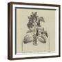 A Symbolical Bunch of Napoleonic Violets-null-Framed Giclee Print