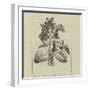 A Symbolical Bunch of Napoleonic Violets-null-Framed Giclee Print