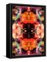 A Symmetric Colorful Ornament from Flowers, Photographic Layer Work-Alaya Gadeh-Framed Stretched Canvas