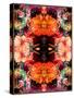 A Symmetric Colorful Ornament from Flowers, Photographic Layer Work-Alaya Gadeh-Stretched Canvas