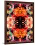 A Symmetric Colorful Ornament from Flowers, Photographic Layer Work-Alaya Gadeh-Framed Photographic Print