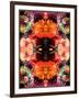 A Symmetric Colorful Ornament from Flowers, Photographic Layer Work-Alaya Gadeh-Framed Photographic Print