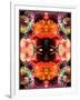 A Symmetric Colorful Ornament from Flowers, Photographic Layer Work-Alaya Gadeh-Framed Photographic Print
