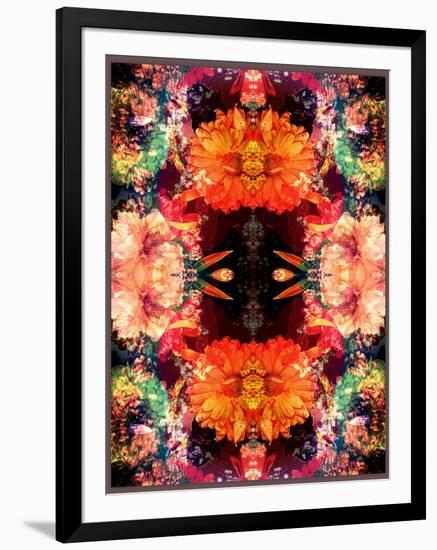 A Symmetric Colorful Ornament from Flowers, Photographic Layer Work-Alaya Gadeh-Framed Photographic Print