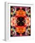 A Symmetric Colorful Ornament from Flowers, Photographic Layer Work-Alaya Gadeh-Framed Photographic Print