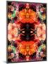 A Symmetric Colorful Ornament from Flowers, Photographic Layer Work-Alaya Gadeh-Mounted Photographic Print