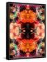 A Symmetric Colorful Ornament from Flowers, Photographic Layer Work-Alaya Gadeh-Framed Stretched Canvas