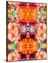 A Symmetric Colorful Ornament from Flowers, Photographic Layer Work-Alaya Gadeh-Stretched Canvas