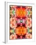 A Symmetric Colorful Ornament from Flowers, Photographic Layer Work-Alaya Gadeh-Framed Premium Photographic Print