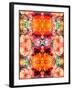 A Symmetric Colorful Ornament from Flowers, Photographic Layer Work-Alaya Gadeh-Framed Premium Photographic Print