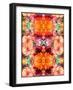 A Symmetric Colorful Ornament from Flowers, Photographic Layer Work-Alaya Gadeh-Framed Photographic Print