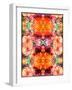 A Symmetric Colorful Ornament from Flowers, Photographic Layer Work-Alaya Gadeh-Framed Photographic Print