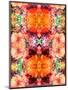 A Symmetric Colorful Ornament from Flowers, Photographic Layer Work-Alaya Gadeh-Mounted Photographic Print