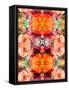 A Symmetric Colorful Ornament from Flowers, Photographic Layer Work-Alaya Gadeh-Framed Stretched Canvas