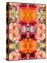 A Symmetric Colorful Ornament from Flowers, Photographic Layer Work-Alaya Gadeh-Stretched Canvas