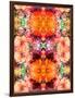 A Symmetric Colorful Ornament from Flowers, Photographic Layer Work-Alaya Gadeh-Framed Photographic Print