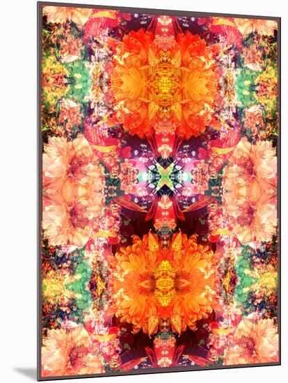 A Symmetric Colorful Ornament from Flowers, Photographic Layer Work-Alaya Gadeh-Mounted Photographic Print