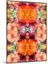 A Symmetric Colorful Ornament from Flowers, Photographic Layer Work-Alaya Gadeh-Mounted Photographic Print