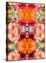 A Symmetric Colorful Ornament from Flowers, Photographic Layer Work-Alaya Gadeh-Stretched Canvas