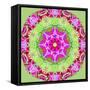 A Symmetric Floral Montage from Flower Photographs-Alaya Gadeh-Framed Stretched Canvas