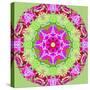 A Symmetric Floral Montage from Flower Photographs-Alaya Gadeh-Stretched Canvas