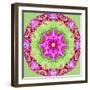 A Symmetric Floral Montage from Flower Photographs-Alaya Gadeh-Framed Photographic Print