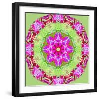 A Symmetric Floral Montage from Flower Photographs-Alaya Gadeh-Framed Photographic Print