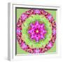 A Symmetric Floral Montage from Flower Photographs-Alaya Gadeh-Framed Photographic Print