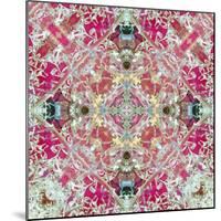 A Symmetric Floral Montage, Photograph, Layer Work-Alaya Gadeh-Mounted Photographic Print