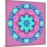 A Symmetric Floral Montage-Alaya Gadeh-Mounted Premium Photographic Print