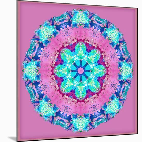 A Symmetric Floral Montage-Alaya Gadeh-Mounted Premium Photographic Print