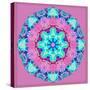 A Symmetric Floral Montage-Alaya Gadeh-Stretched Canvas