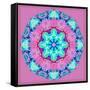 A Symmetric Floral Montage-Alaya Gadeh-Framed Stretched Canvas