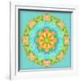 A Symmetric Floral Montage-Alaya Gadeh-Framed Photographic Print