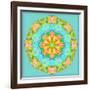 A Symmetric Floral Montage-Alaya Gadeh-Framed Photographic Print